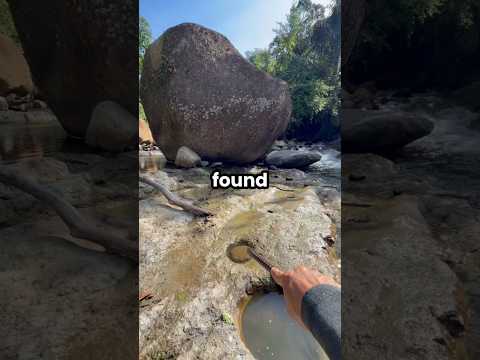 Image youtube